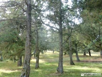 Enebral y Ermita de Hornuez – Villa de Maderuelo;sierra norte de madrid gente para viajar ropa de 